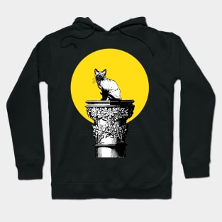 Cat On A Pedestal - Cats Hoodie